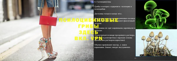 сатива Алзамай