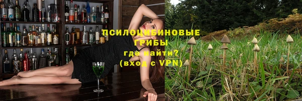 сатива Алзамай