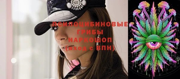 твердый Алексин