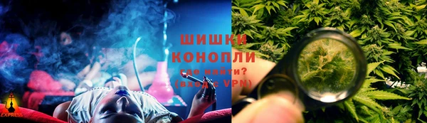 сатива Алзамай